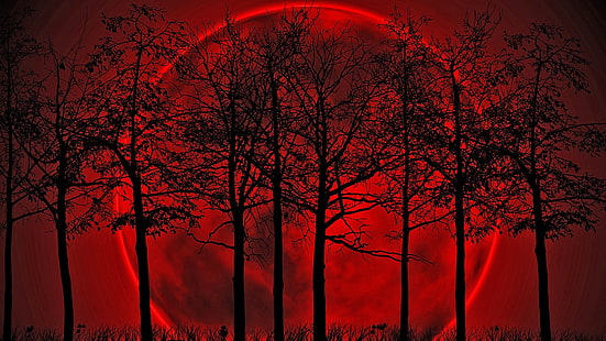 червена луна илюстрация, Кръвна луна, HD тапет HD wallpaper