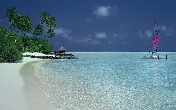 beach, Catamaran, island, landscape, nature, Palm Trees, sand, sea, Shrubs, summer, tropical, HD wallpaper