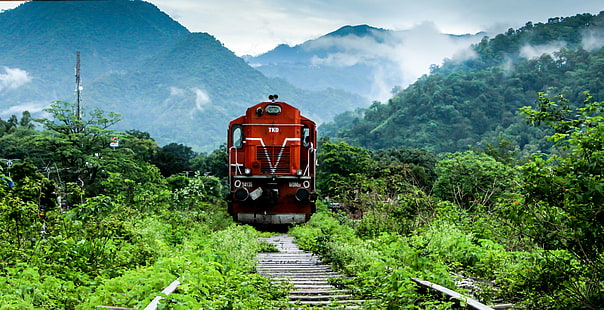 снимка на влак с парен локомотив близо до дървета към железопътната линия през деня, KGM, DDN, Exp, снимка, парен локомотив, влак, дървета, железопътна линия, ден, час, NR, NER, Kathgodam, Dehradun, Tughlakabad, TKD, WDM-3A, ALCO, ngc, железопътна линия, транспорт, планина, пътуване, природа, азия, HD тапет HD wallpaper