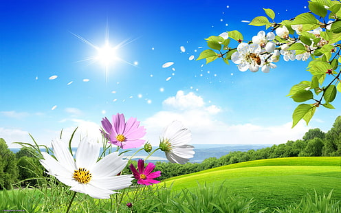 Frühling, HD-Hintergrundbild HD wallpaper