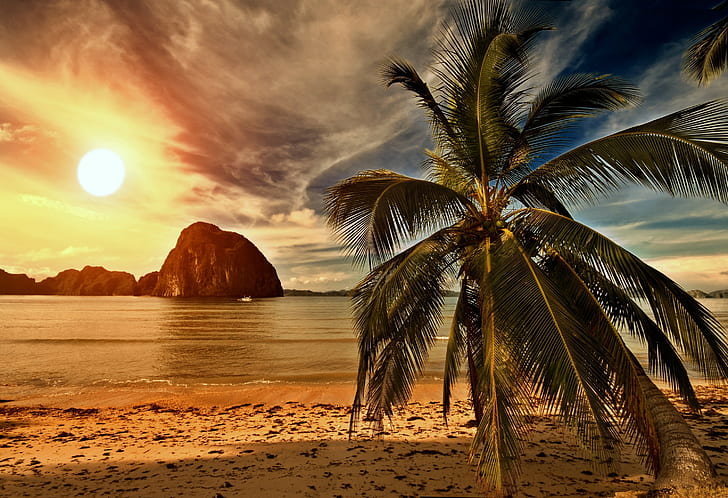 Tropical paradise,palm on beach, tropical, paradise, beach, palms, Sea, Ocean, Sunset, s, hd backgrounds, download, HD wallpaper