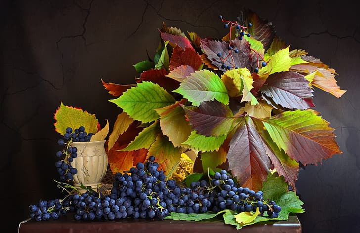 leaves, berries, grapes, bunches, HD wallpaper