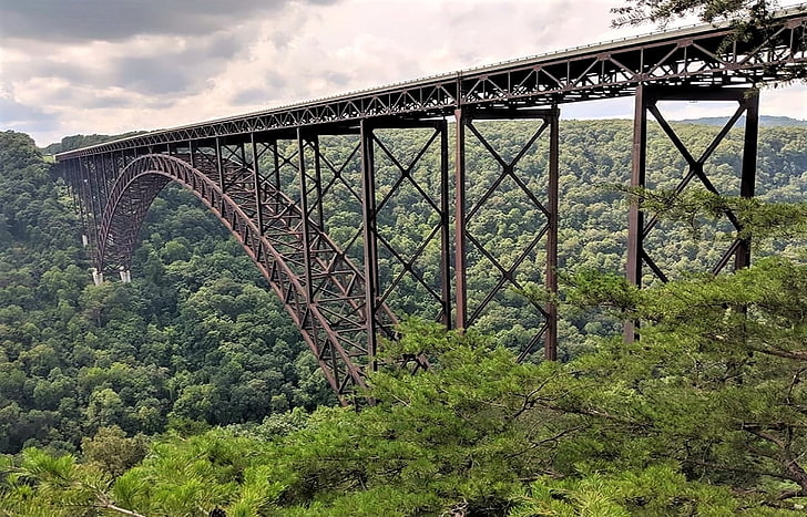 New River Gorge Bridge, West Virginia, alberi, New River Gorge, Bridge, West Virginia, Sfondo HD