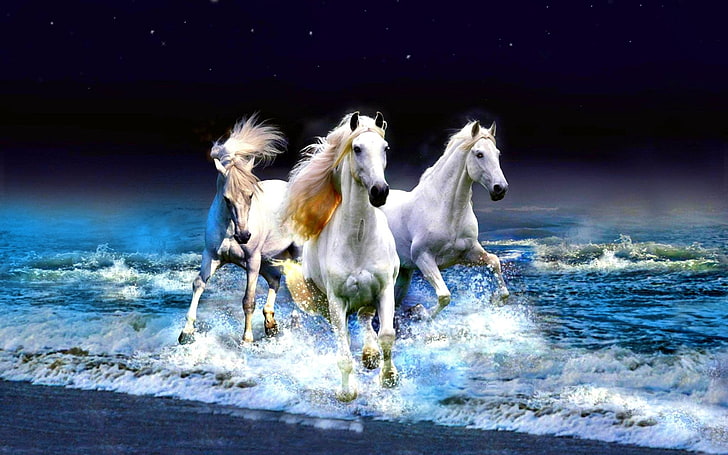Three white horses, Animal, Horse, Beach, Horizon, Sea, HD wallpaper |  Wallpaperbetter
