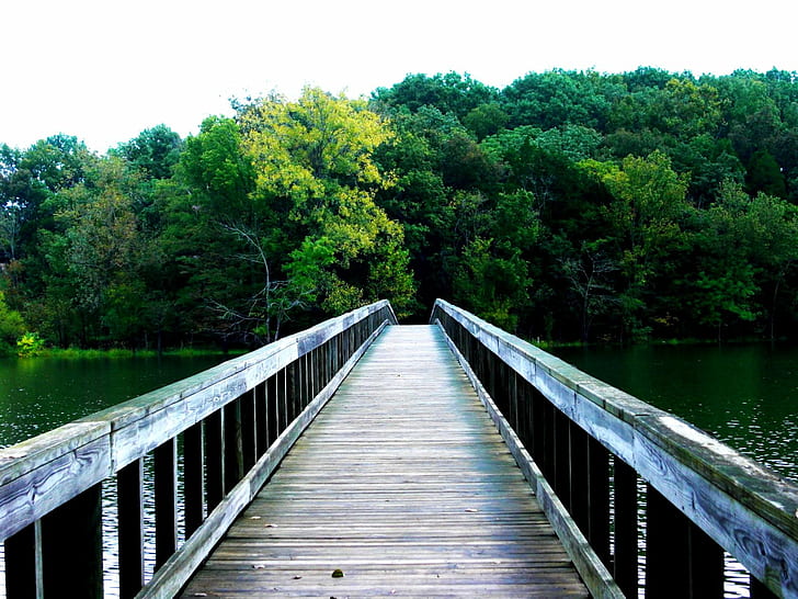 photo of white wooden bridge over body water leading to green trees during daytime, everything in between, photo, wooden bridge, body water, green, trees, daytime, park  lake, nature, forest, bridge - Man Made Structure, tree, river, wood - Material, lake, outdoors, water, landscape, summer, HD wallpaper