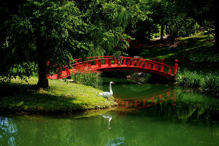 азиат, мост, сад, настроение, JPG, река, лебедь, HD обои