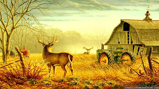 예술, 2560x1440, 농장, 사슴, 헛간, 트랙터, 나무, HD, HD 배경 화면 HD wallpaper