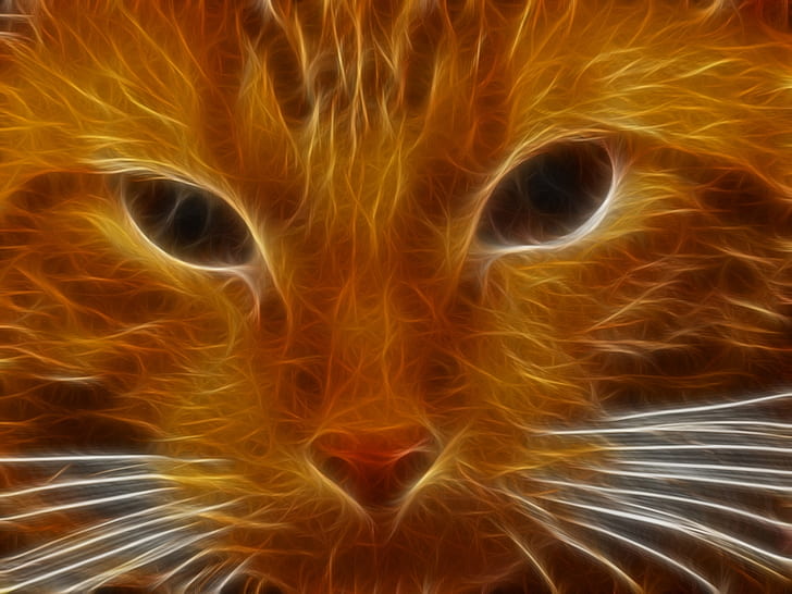 고양이 동물 예술 멋진 벽지 HD, 갈색 고양이 애니메이션 일러스트, 동물, 고양이, 쿨, 예술, HD 배경 화면