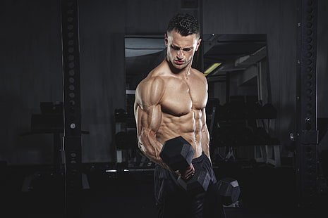 posa, muscolo, allenamento, bicipiti, peso, palestra, manubri, bodybuilder, Sfondo HD HD wallpaper