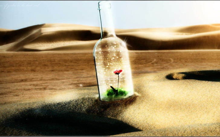 bokeh, bouteille, CG, contraste, désert, numérique, rêve, dunes, fleurs, verre, paysages, manipulation, humeur, Fond d'écran HD