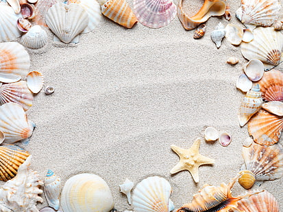 морски черупки, пясък, плаж, рамка, черупка, морски звезди, морски черупки, HD тапет HD wallpaper