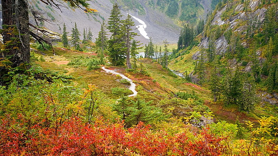 autumn, trees, mountains, river, gorge, Russia, the bushes, Far East, Russian Far East, HD wallpaper HD wallpaper