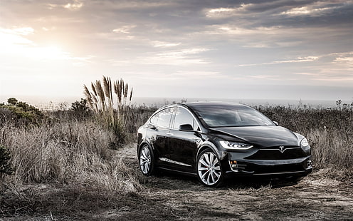 Czarny samochód elektryczny Tesla Model X, Tesla, Model, X, Czarny, Elektryczny, Samochód, Tapety HD HD wallpaper