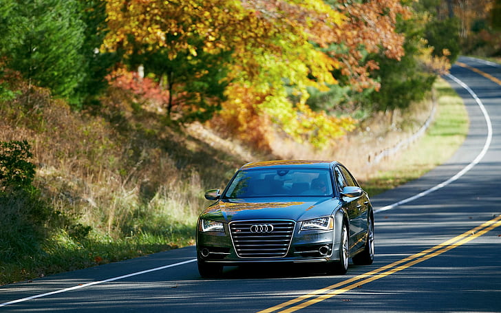Audi, S8, кола, седан, черен автомобил на Audi, Audi, S8, автомобили, седан, отпред, път, дървета, улица, HD тапет