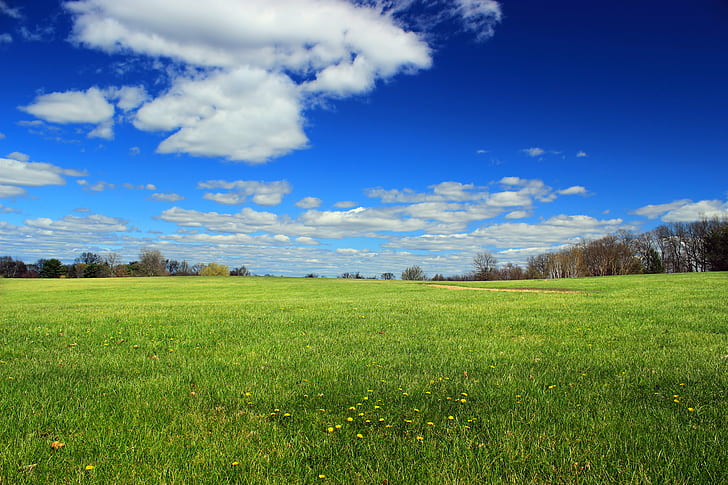 green grass field surrounded with trees at daytime, Louise, Moore County, County Park, Revisit, green grass, field, trees, daytime, Pennsylvania, Northampton County, Moore Park, Lehigh Valley, dandelions, sky, clouds, cumulus, spring, creative commons, nature, meadow, grass, blue, summer, outdoors, rural Scene, tree, landscape, green Color, pasture, scenics, cloud - Sky, season, springtime, HD wallpaper
