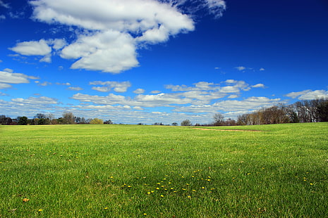 green grass field surrounded with trees at daytime, Louise, Moore County, County Park, Revisit, green grass, field, trees, daytime, Pennsylvania, Northampton County, Moore Park, Lehigh Valley, dandelions, sky, clouds, cumulus, spring, creative commons, nature, meadow, grass, blue, summer, outdoors, rural Scene, tree, landscape, green Color, pasture, scenics, cloud - Sky, season, springtime, HD wallpaper HD wallpaper