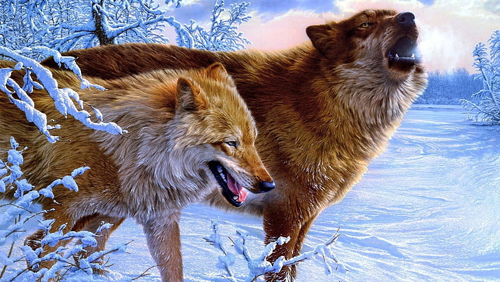 two brown wolves, wolf, artwork, animals, HD wallpaper