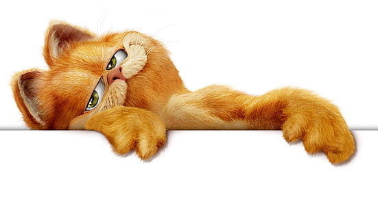 Garfield, HD-Hintergrundbild HD wallpaper