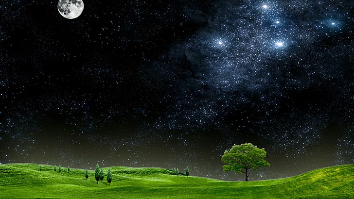 астрономический объект, ночное небо, холмистая местность, поле, травяное поле, луг, тьма, вселенная, пейзаж, звездная ночь, природа, лунный свет, полная луна, трава, дерево, атмосфера земли, луна, ночь, атмосфера, небо, HD обои