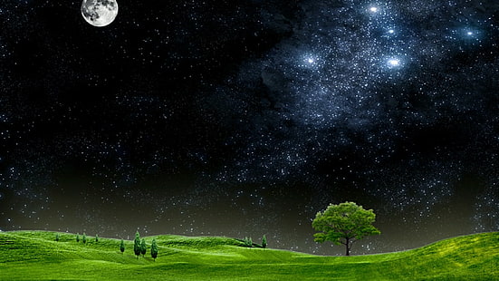 астрономический объект, ночное небо, холмистая местность, поле, травяное поле, луг, тьма, вселенная, пейзаж, звездная ночь, природа, лунный свет, полная луна, трава, дерево, атмосфера земли, луна, ночь, атмосфера, небо, HD обои HD wallpaper