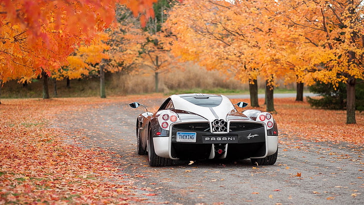 Pagani, foglie di autunno, autunno, Pagani Huayra, fotografia, auto sportiva, veicolo di lusso, Sfondo HD