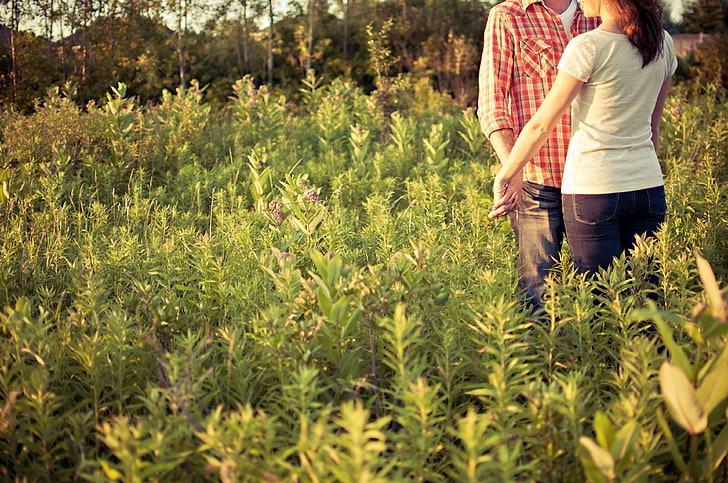 countryside, couple, engaged, environment, field, grass, happiness, holding hands, love, man, meadow, outdoors, people, plants, together, togetherness, trees, woman, HD wallpaper