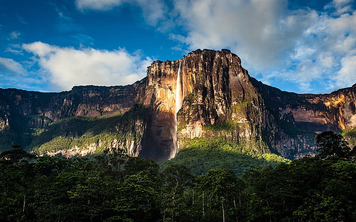 Водопады, водопад Анхель, Земля, Лес, Скала, Венесуэла, Водопад, HD обои