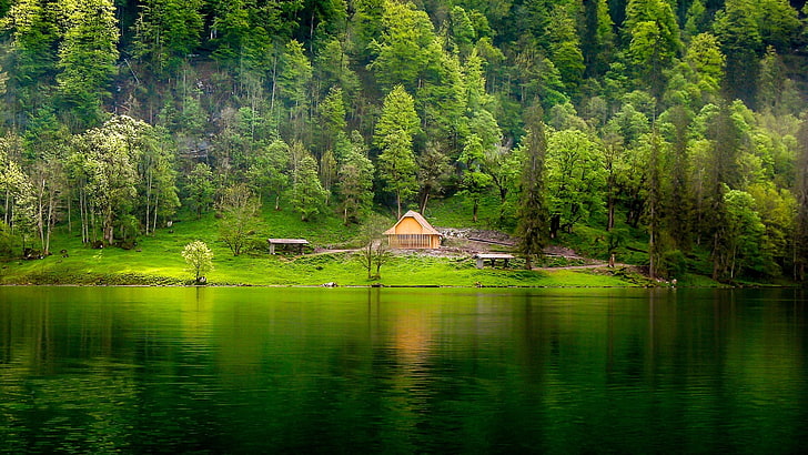 green leafed trees, nature, landscape, green, lake, forest, grass, mist, hills, cabin, trees, water, HD wallpaper
