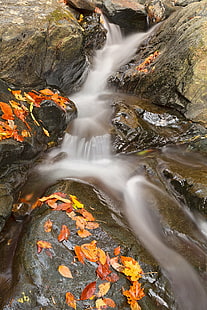 timelapse waterfall photo, Glen, Stream, HDR, timelapse, waterfall, photo, water, waterscape, flow, leaves, landscape, nature, natural, scene, scenic, scenery, background, river, rocky  stone, stones, patapsco  valley  state  park, maryland, usa, united  states, america, beauty, beautiful, epic, outside, travel, tourism, long  exposure, motion, soft, smooth, orange, colorful, color, colors, colour, colours, fall, autumn, stock, resource, image, picture, ca, rock - Object, outdoors, forest, HD wallpaper HD wallpaper