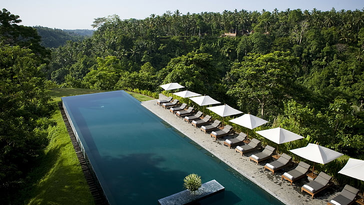 長方形の屋外プールの横にある灰色の屋外ラウンジャーロット、アリラウブド、バリ島、インドネシア、2017年の最高のホテルプール、観光、旅行、リゾート、休暇、プール、サンベッド、森林、 HDデスクトップの壁紙