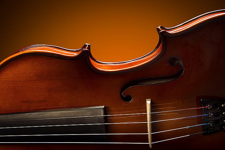 violín, instrumento musical, Fondo de pantalla HD