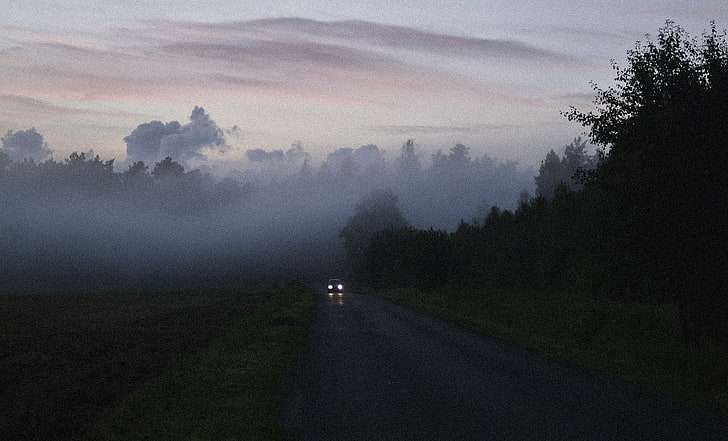 voiture, brumeux, route, matin, brouillard, lever du soleil, aube, brumeux, brouillard, bois, Fond d'écran HD
