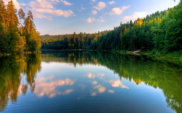 Jezioro Wood, krajobraz, drewno, Tapety HD