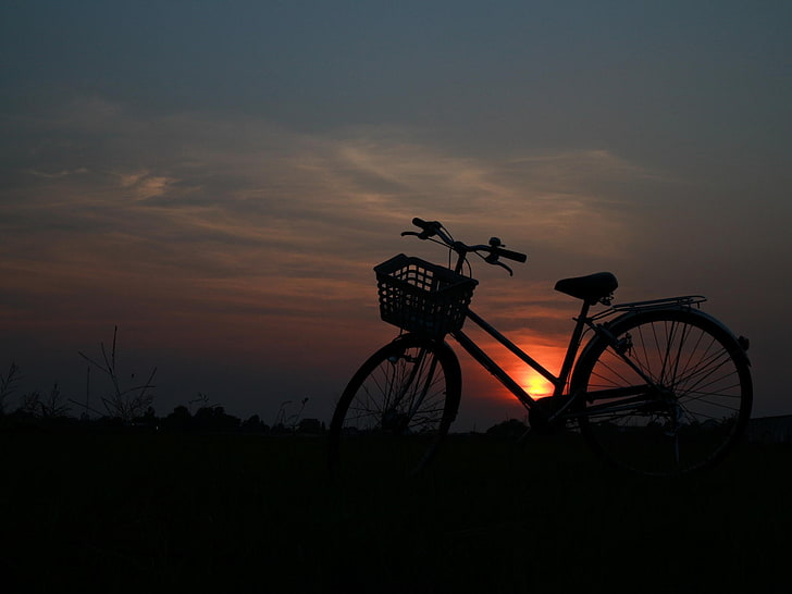 Natur, Fahrrad, HD-Hintergrundbild