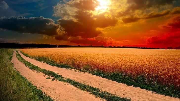 熟した小麦の地平線と村の道のフィールド暗い赤い雲と夕焼け空HD壁紙無料ダウンロード3840×2160、 HDデスクトップの壁紙