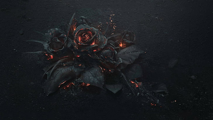 flowers rose fire gothic, HD wallpaper