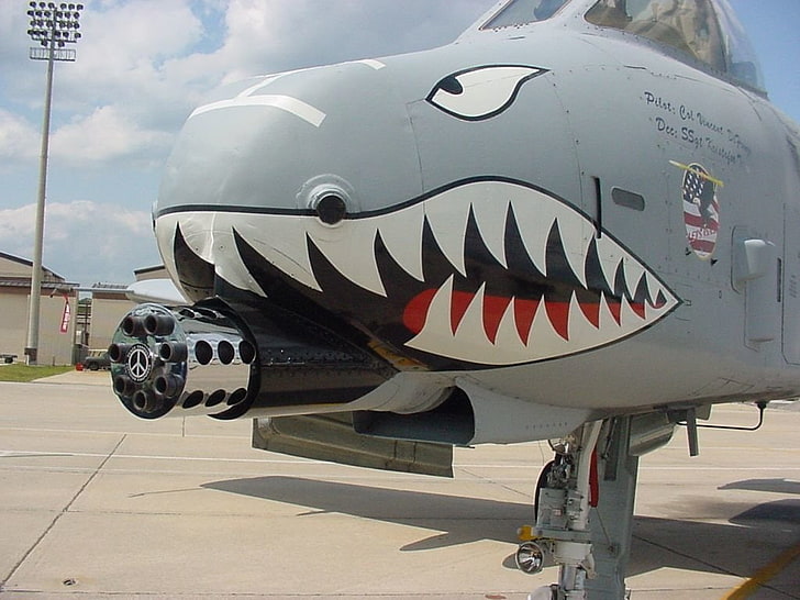 grå och svart haj stridsplan, Jet Fighters, Fairchild Republic A-10 Thunderbolt II, HD tapet