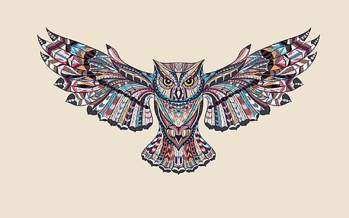серая и разноцветная картина совы, сова, птица, краски, крылья, светлый фон, HD обои HD wallpaper