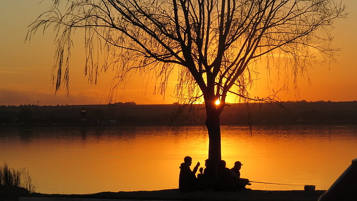 silhouette d'arbres près de la masse d'eau, coucher de soleil, Fond d'écran HD