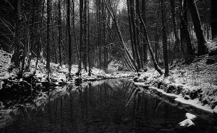 Черна река, чиста река между гората, Aero, Black, Dark, Winter, River, Forest, black river, black and white, HD тапет