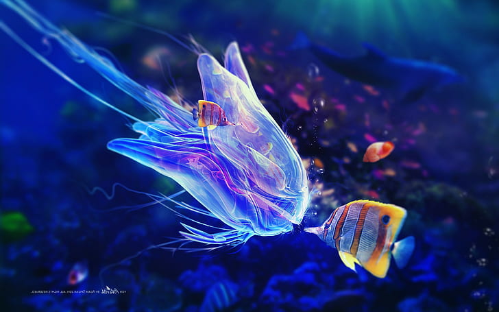 Adam Spizak, digital art, fish, underwater, HD wallpaper