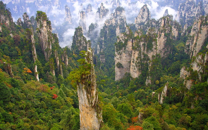 árboles verdes, Parque Nacional de Wulingyuan, China, bosque, montañas, nubes, piedra caliza, acantilado, árboles, verde, naturaleza, paisaje, Fondo de pantalla HD