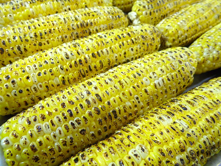 corn, corn cob, corn kernels, ears, eat, food, grilled, maize, maize cob, HD wallpaper
