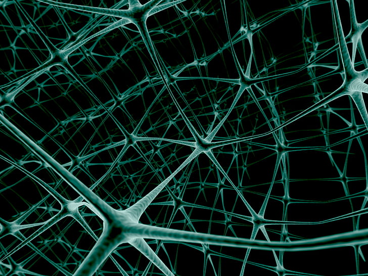 network, neurons, link, HD wallpaper