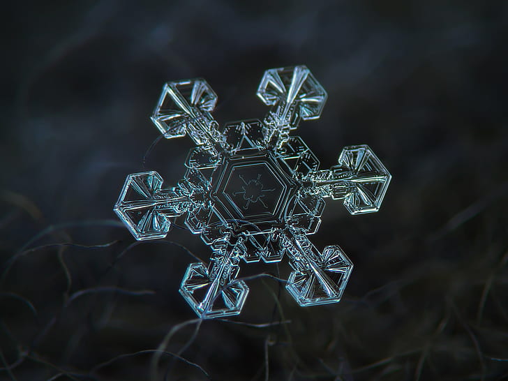 Реальный, снежинка, Лед, Корона, исследовать, хлопья, фон, природа, фото, абстрактный, макрос, рождество, уникальный, деталь, мороз, микроскопический, сезон, естественный, крупным планом, погода, холодный, шестиугольный, симметричный,структура, свет, форма, символ, редкий, дизайн, симметричный, геометрический, блестящий, вода, удивительный, матовый, симметрия, зе, увеличенный, маленький, элегантный, красивый, север, хрупкость, морозный, блеск, никто, один, звезда,темно-синий, серо-голубой, волокна, шерстяные, замороженные, пластины, upclose, шестиугольник, твердые, классные, шерсть, снежинка, фоны, HD обои