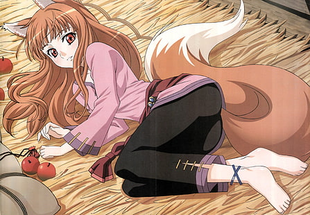 anime-tjejer, anime, Holo, Spice and Wolf, Okamimimi, HD tapet HD wallpaper