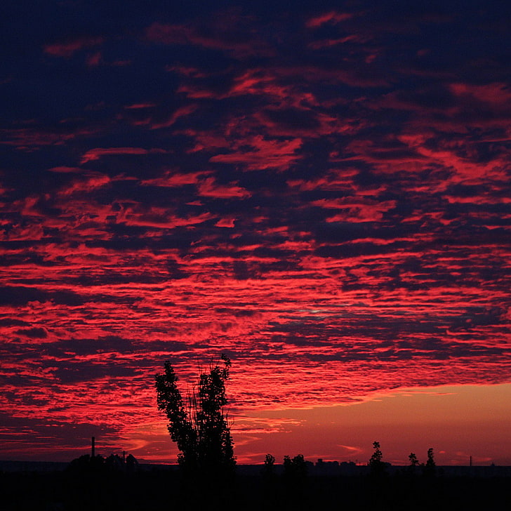 nuvens, céu vermelho, nascer do sol, silhueta, horizonte, HD papel de parede