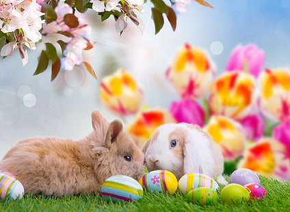 två vita och bruna kaniner, ägg, påsk, påskägg, glad påsk, HD tapet HD wallpaper