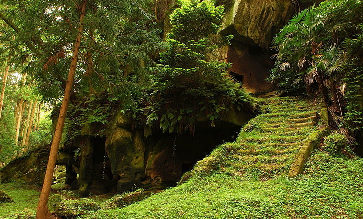 Старите пещери в джунглата, пещера, дървета, гора, природа, трева, зеленина, тропическа гора, джунгла, природа и пейзажи, HD тапет