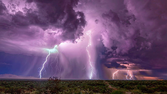 lightning, nature, sky, thunder, lightning strikes, field, storm, phenomenon, thunderstorm, purple sky, purple storm, cloud, stormy, landscape, bad weather, HD wallpaper HD wallpaper